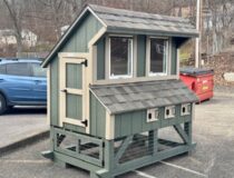 4 x 6 Mini Chicken Condo
