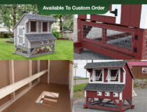 The Condo chicken coop model From Pine Creek Structures Photo Collage