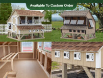 The Condo chicken coop model From Pine Creek Structures Photo Collage