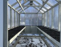 8x12 Greenhouse in CT by Pine Creek Structures of Berlin