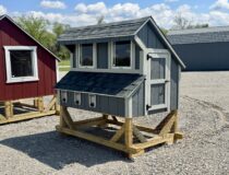 4 x 6 Chicken Coop