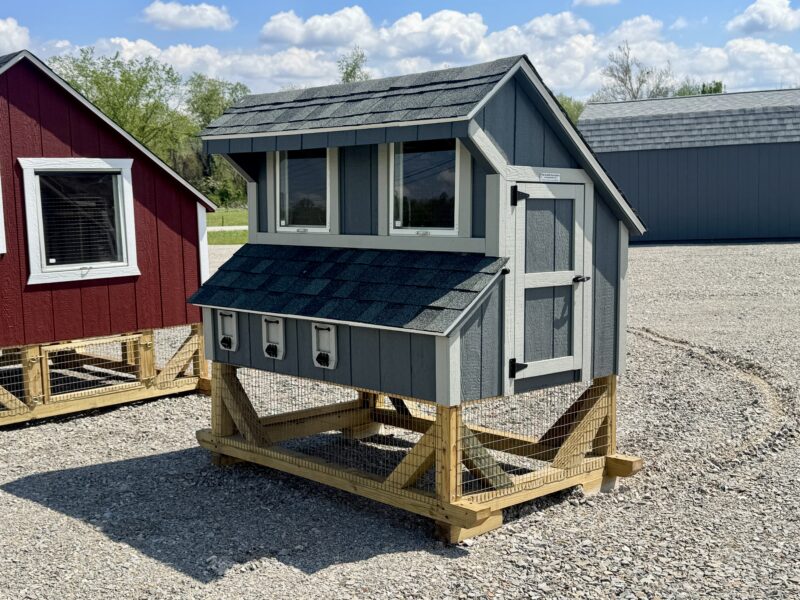 4 x 6 Chicken Coop