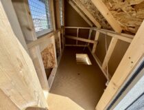 4 x 6 Chicken Coop