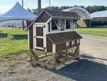 4 x 6 Chicken Coop