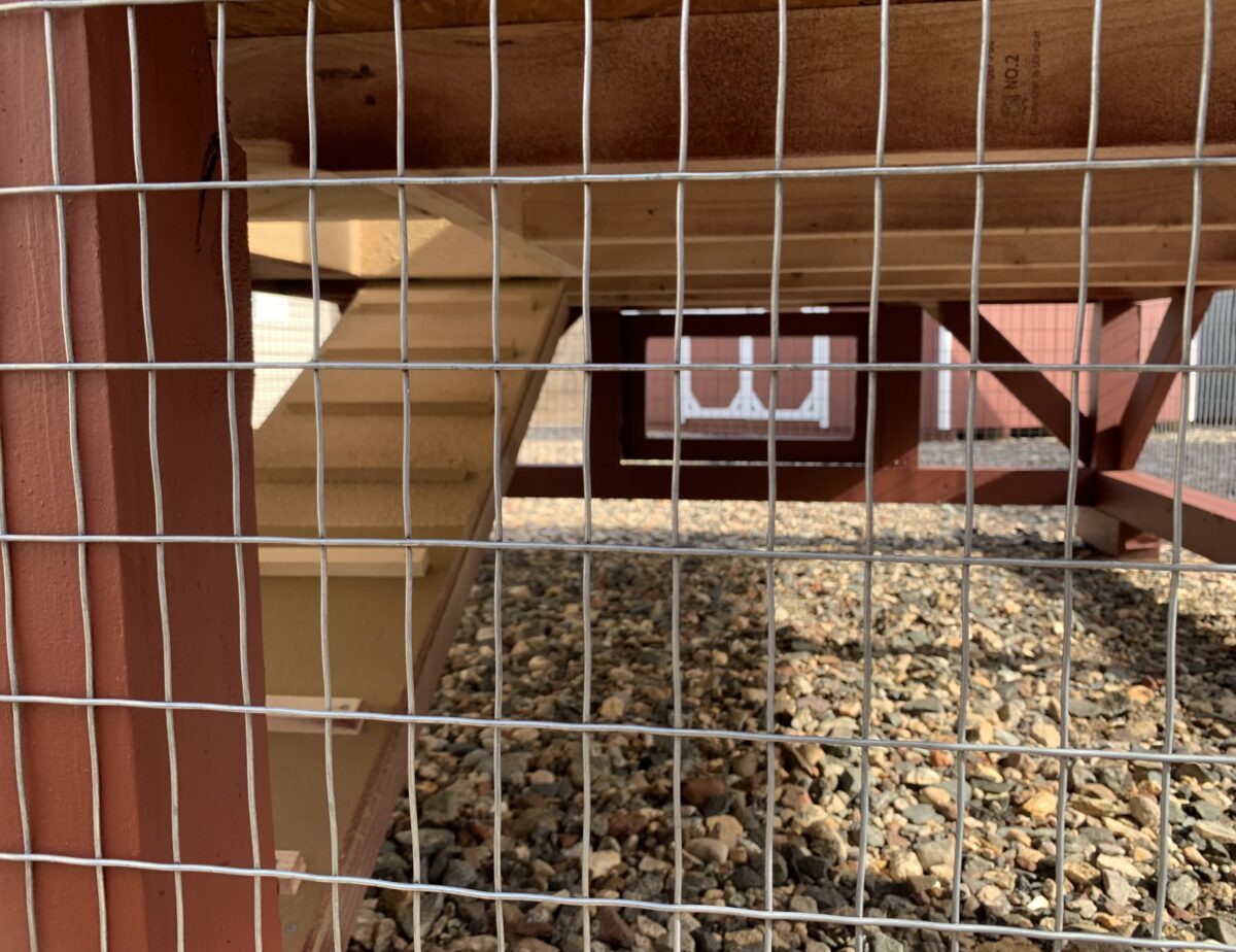 Close-up of exterior access doors for 4 chicken nesting boxes on a red coop.