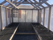Inside of 8x12 Green house