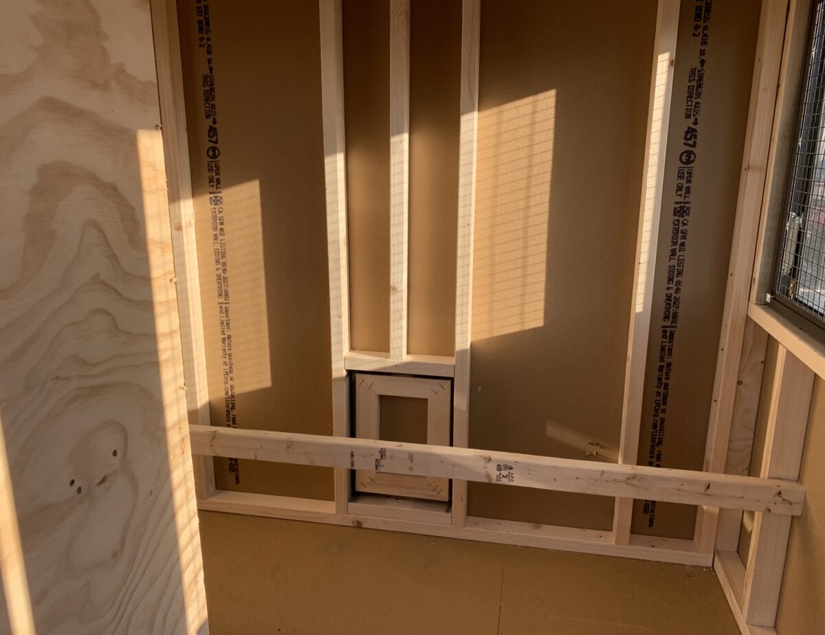 Interior of a 6x12 chicken coop showing 6-foot roosting bar and nesting box access.
