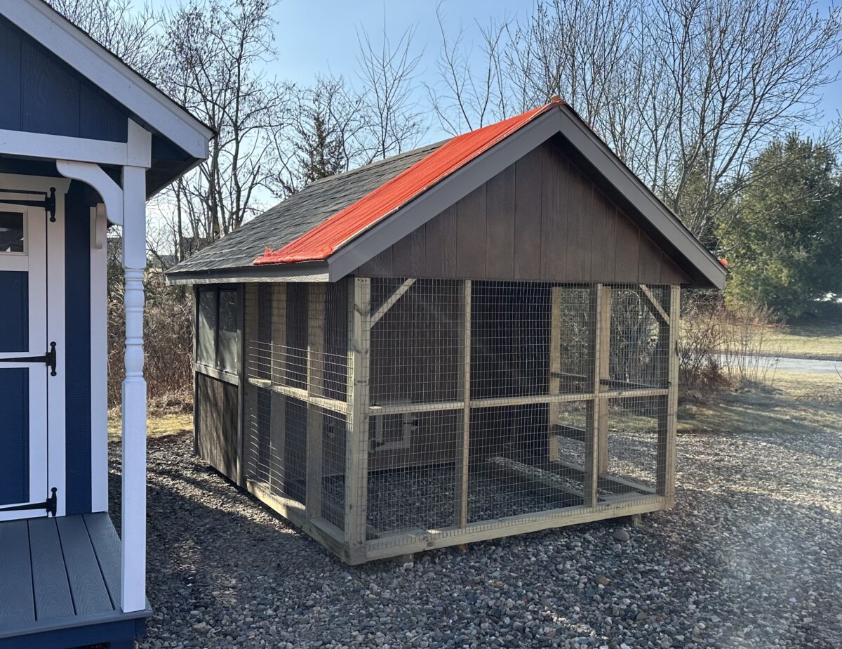 8x12 King Chicken Coop with Coffee Stain siding and integrated 8x7 run in Berlin, CT.