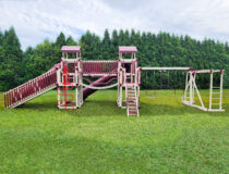 Discovery Depot Swing Set - D48-9