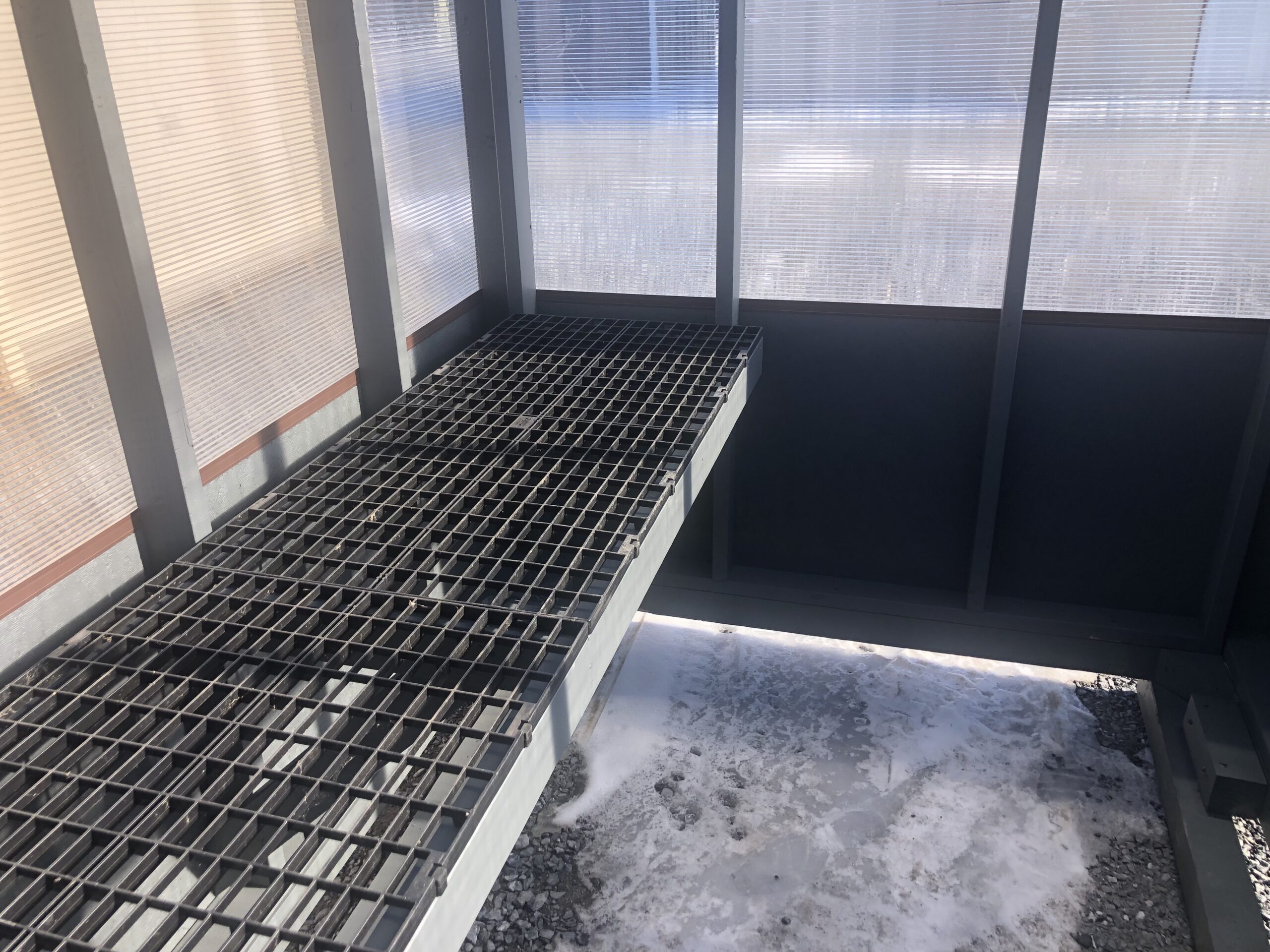 shelves inside of 6x8 green house