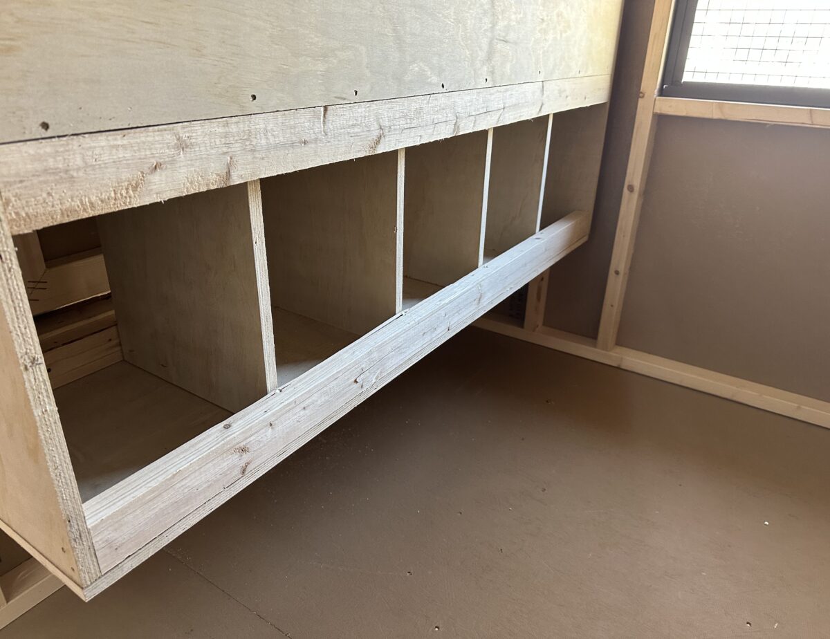 Interior of an 8x12 coop showing 8x5 nesting area and roosting bars.