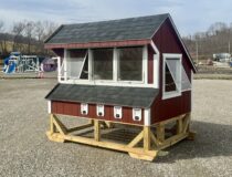 6 x 8 Chicken Coop
