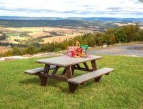 Poly Picnic Table