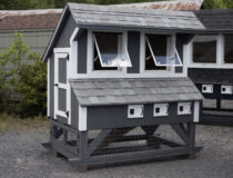 4x6 Chicken Condo