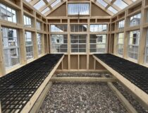 Interior of an 8x12 atrium greenhouse featuring two built-in grating benches for potting plants.