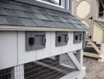 6x8 Chicken Condo Egg Boxes