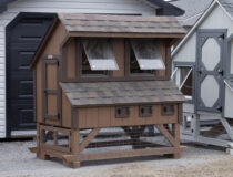 4x6 Chicken Condo
