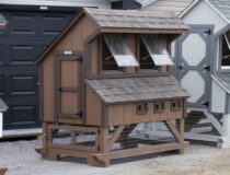 4x6 Chicken Condo