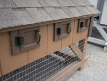 4x6 Chicken Condo Egg Boxes