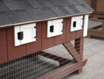 4x6 Chicken Condo Egg Boxes