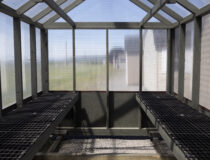 8x12 Greenhouse Interior