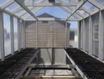 8x12 Greenhouse Interior